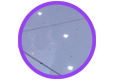 The white starlit dancefloor was Newcastle-under-Lyme's most popular dancefloor for weddings in 2025.